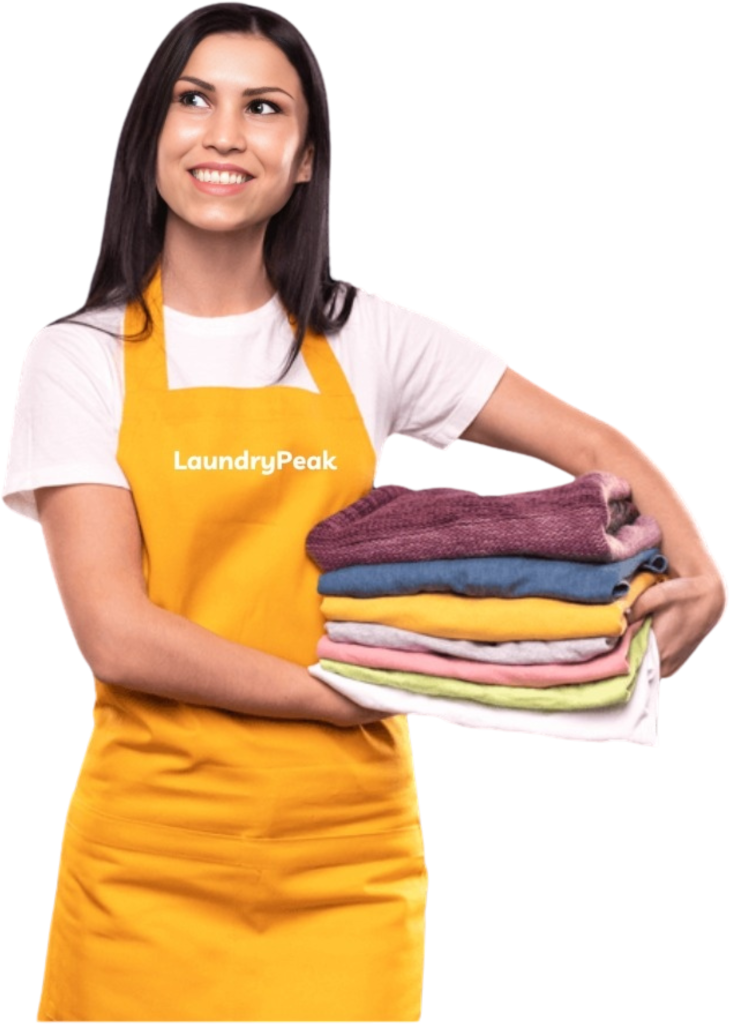 Professional dry cleaning free pickup and delivery